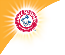 Arm and hammer logo